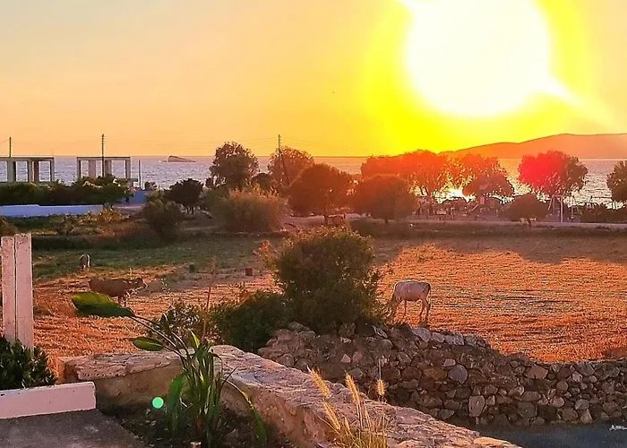 بيت للعطل Sunset *