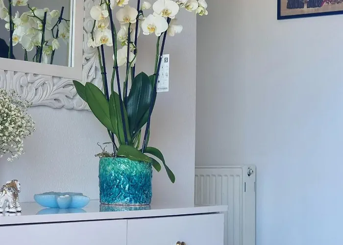 Sunset بيت للعطل *